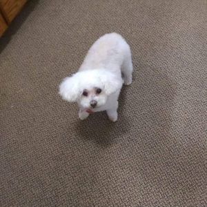 Meet your Posher, Judith